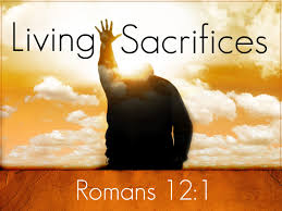 Living sacrifices Romans 12.1